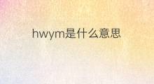 hwym是什么意思 hwym的中文翻译、读音、例句