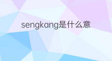 sengkang是什么意思 sengkang的中文翻译、读音、例句