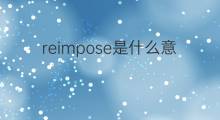 reimpose是什么意思 reimpose的中文翻译、读音、例句