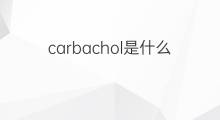 carbachol是什么意思 carbachol的中文翻译、读音、例句
