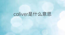 caliver是什么意思 caliver的中文翻译、读音、例句