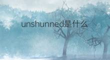 unshunned是什么意思 unshunned的中文翻译、读音、例句