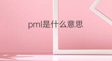 pml是什么意思 pml的中文翻译、读音、例句