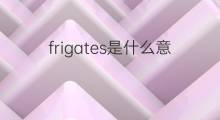 frigates是什么意思 frigates的中文翻译、读音、例句