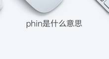 phin是什么意思 phin的中文翻译、读音、例句