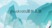 muskrats是什么意思 muskrats的中文翻译、读音、例句