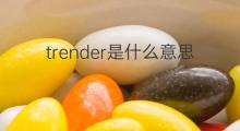 trender是什么意思 trender的中文翻译、读音、例句