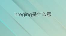 irreging是什么意思 irreging的中文翻译、读音、例句