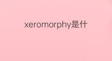 xeromorphy是什么意思 xeromorphy的中文翻译、读音、例句