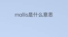 mallis是什么意思 mallis的中文翻译、读音、例句