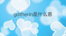 gatherin是什么意思 gatherin的翻译、读音、例句、中文解释