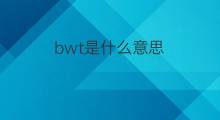 bwt是什么意思 bwt的中文翻译、读音、例句