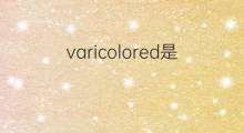 varicolored是什么意思 varicolored的中文翻译、读音、例句
