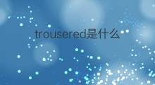 trousered是什么意思 trousered的中文翻译、读音、例句
