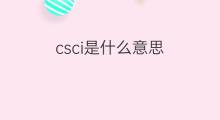 csci是什么意思 csci的中文翻译、读音、例句