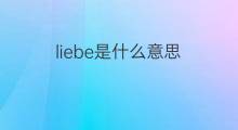 liebe是什么意思 liebe的中文翻译、读音、例句