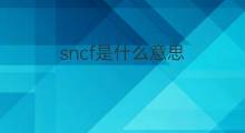 sncf是什么意思 sncf的中文翻译、读音、例句