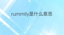 rummily是什么意思 rummily的中文翻译、读音、例句