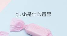 gusb是什么意思 gusb的中文翻译、读音、例句