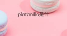 platanillo是什么意思 platanillo的中文翻译、读音、例句