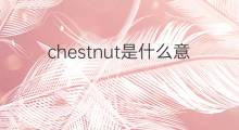 chestnut是什么意思 chestnut的中文翻译、读音、例句