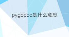pygopod是什么意思 pygopod的翻译、读音、例句、中文解释