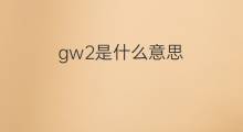 gw2是什么意思 gw2的中文翻译、读音、例句