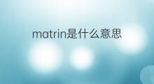 matrin是什么意思 matrin的中文翻译、读音、例句