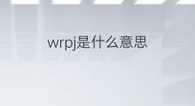 wrpj是什么意思 wrpj的中文翻译、读音、例句