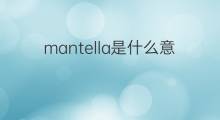 mantella是什么意思 mantella的中文翻译、读音、例句