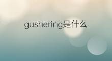 gushering是什么意思 gushering的中文翻译、读音、例句