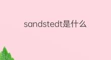 sandstedt是什么意思 sandstedt的中文翻译、读音、例句