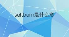 saltburn是什么意思 saltburn的中文翻译、读音、例句