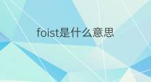 foist是什么意思 foist的中文翻译、读音、例句