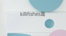 killifishes是什么意思 killifishes的中文翻译、读音、例句