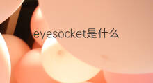 eyesocket是什么意思 eyesocket的中文翻译、读音、例句