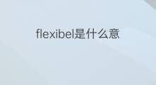 flexibel是什么意思 flexibel的中文翻译、读音、例句