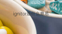 ignitor是什么意思 ignitor的中文翻译、读音、例句