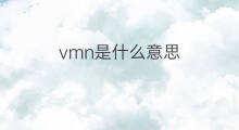 vmn是什么意思 vmn的中文翻译、读音、例句