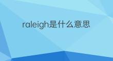 raleigh是什么意思 raleigh的中文翻译、读音、例句
