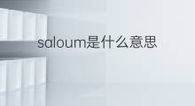 saloum是什么意思 saloum的中文翻译、读音、例句