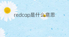 redcap是什么意思 redcap的中文翻译、读音、例句