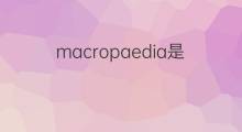 macropaedia是什么意思 macropaedia的中文翻译、读音、例句
