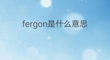 fergon是什么意思 fergon的中文翻译、读音、例句