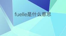 fuelle是什么意思 fuelle的中文翻译、读音、例句