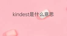 kindest是什么意思 kindest的中文翻译、读音、例句