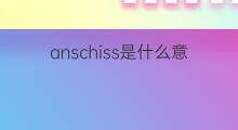 anschiss是什么意思 anschiss的中文翻译、读音、例句