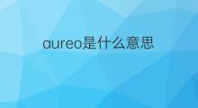 aureo是什么意思 aureo的中文翻译、读音、例句