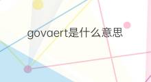 govaert是什么意思 govaert的中文翻译、读音、例句