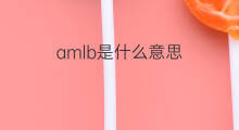 amlb是什么意思 amlb的中文翻译、读音、例句